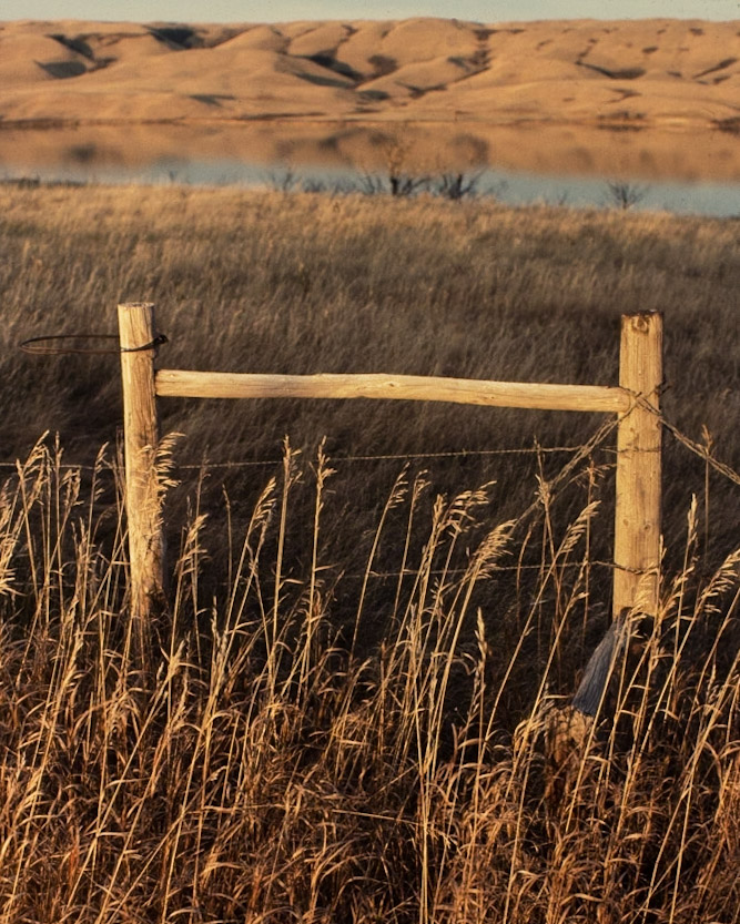 colour photo of wooden fence posts in field in front of lake and with hills on horizon