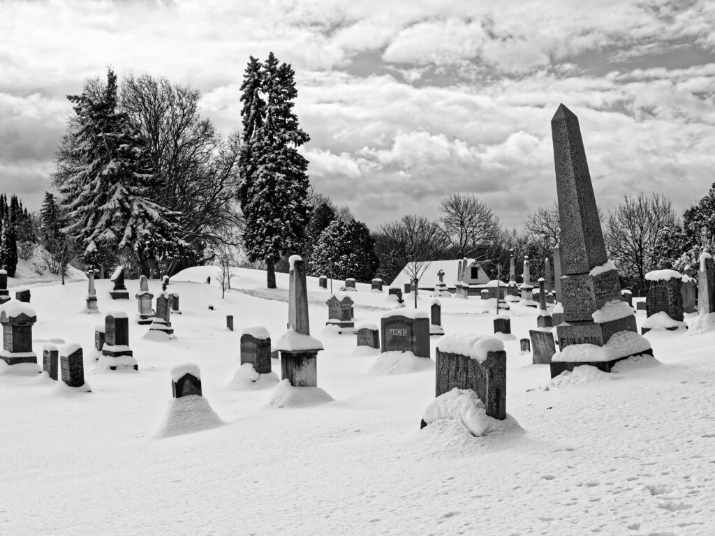 Black and white photo of trees and gravestones in a snow covered cemetery