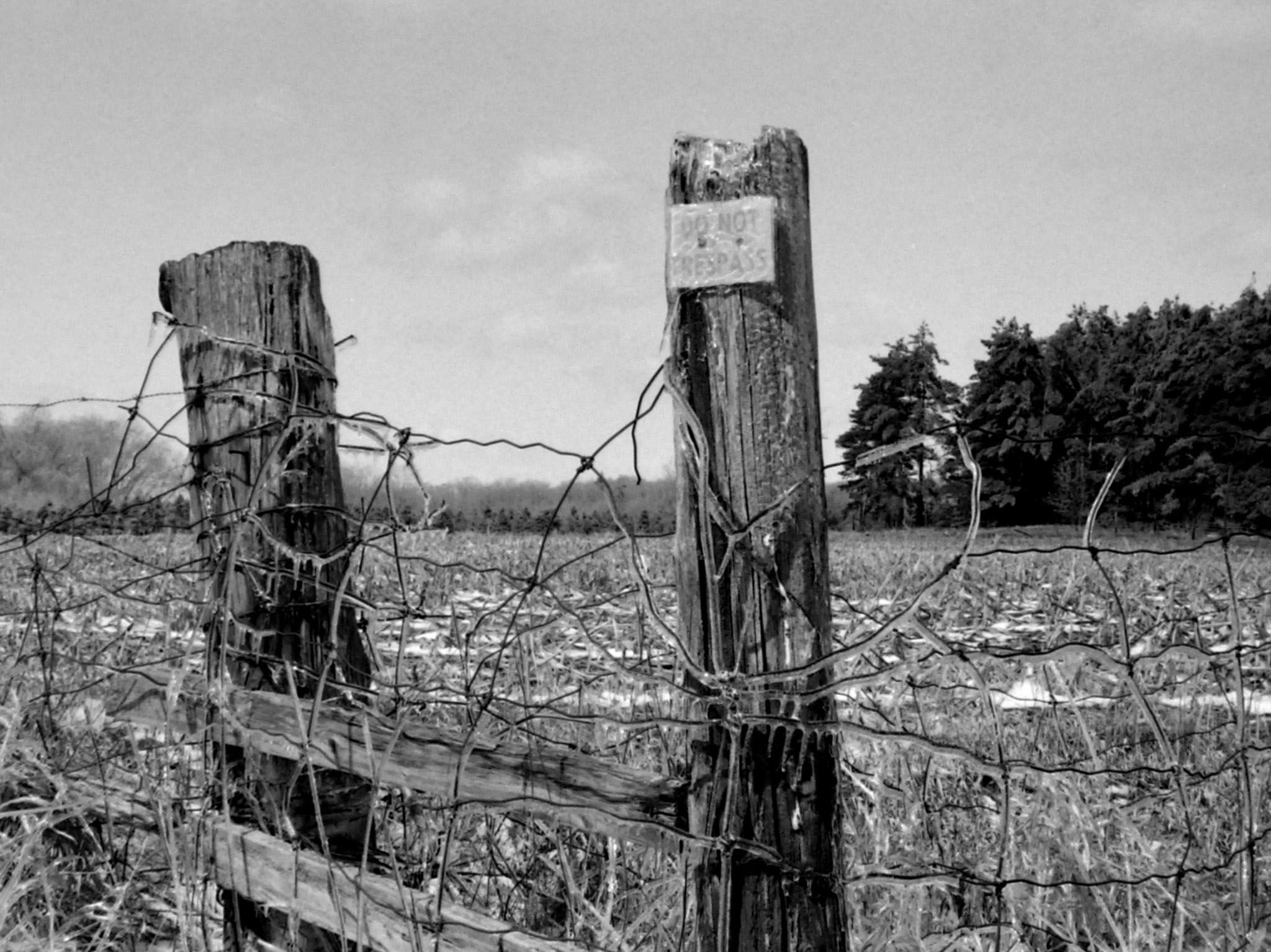 black and white close up photo of wire fence and wood fence posts, coated in a layer of ice. Sign on post reads "do not trespass"