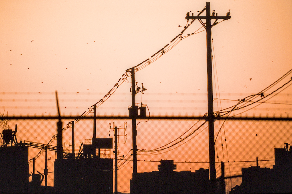 colour photo of birds sitting along overhead wires with industrial structures below against orange sky