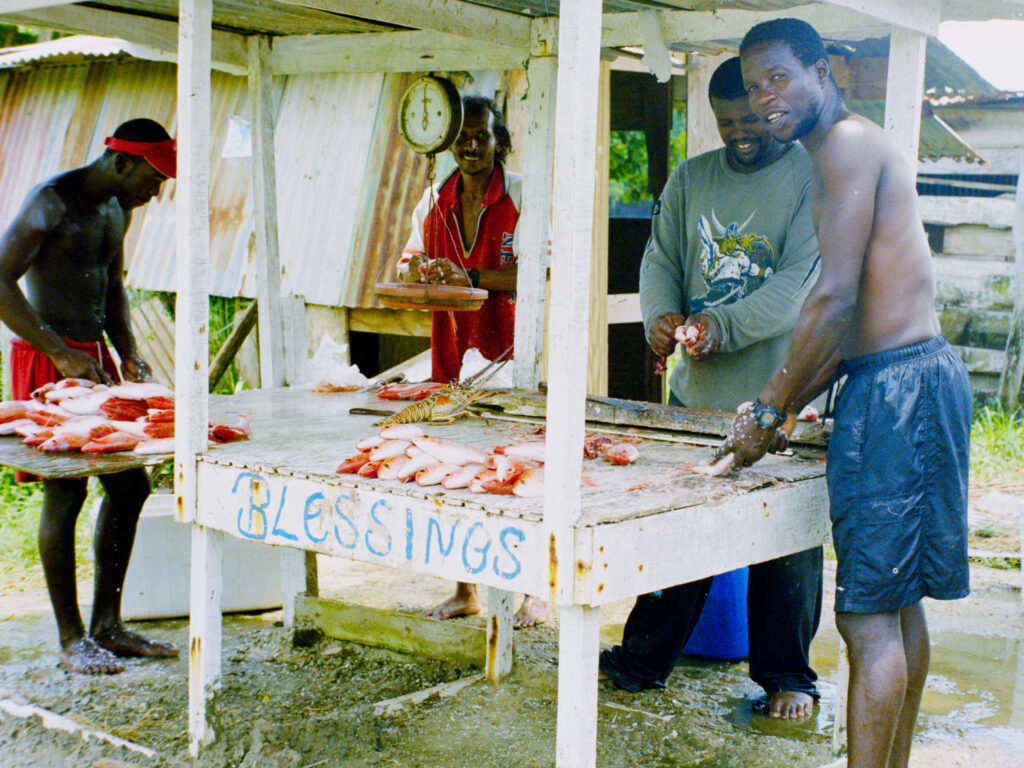colour photo of four young men cleaning fresh fish at an outdoor stand