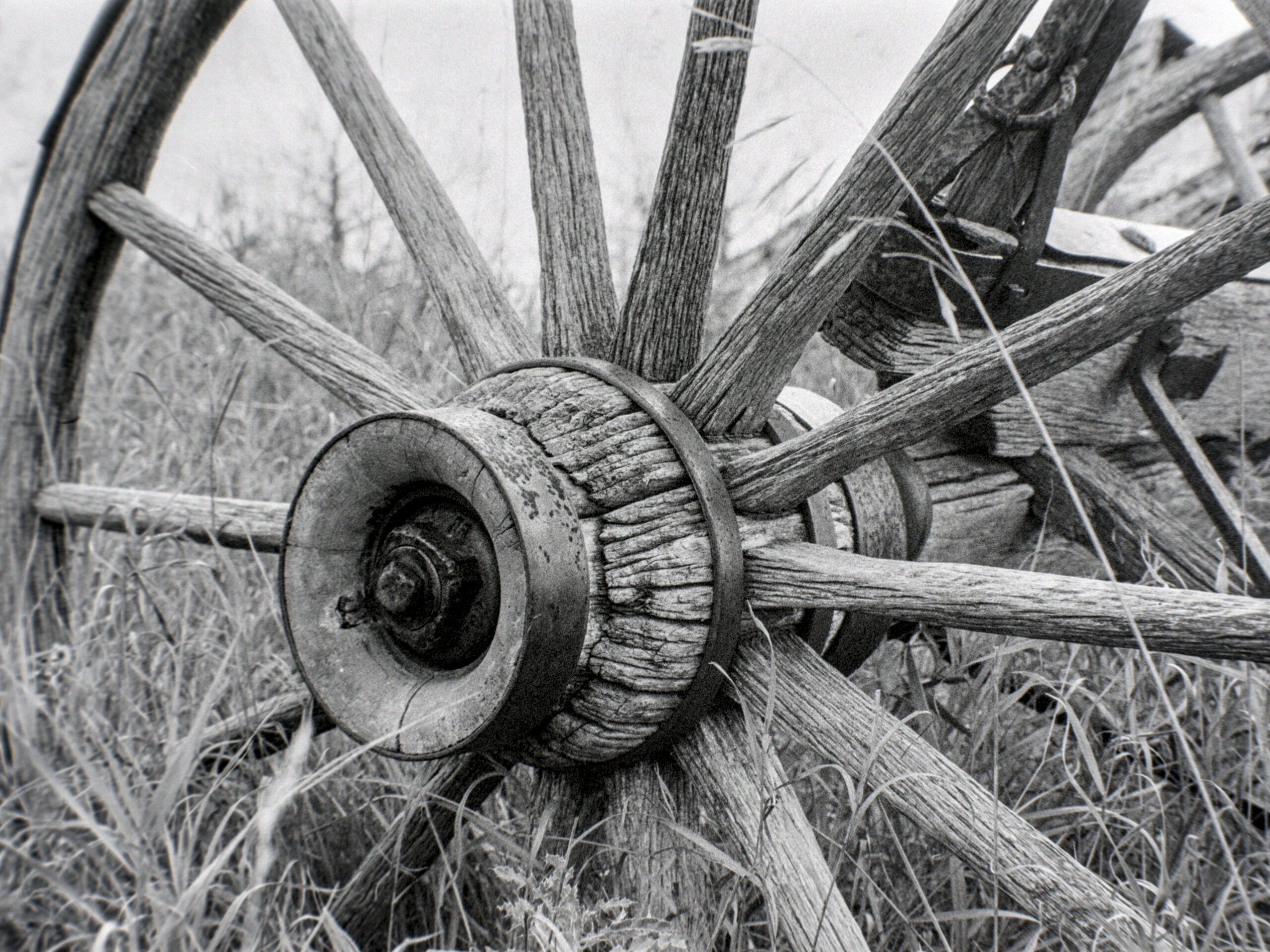 BW film photograph of disused wagon wheel hub in tall grass